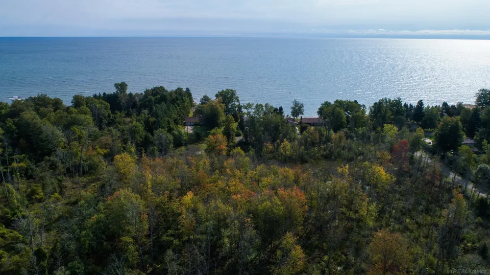 Lakeview Drive Sand Beach Township, MI 48441