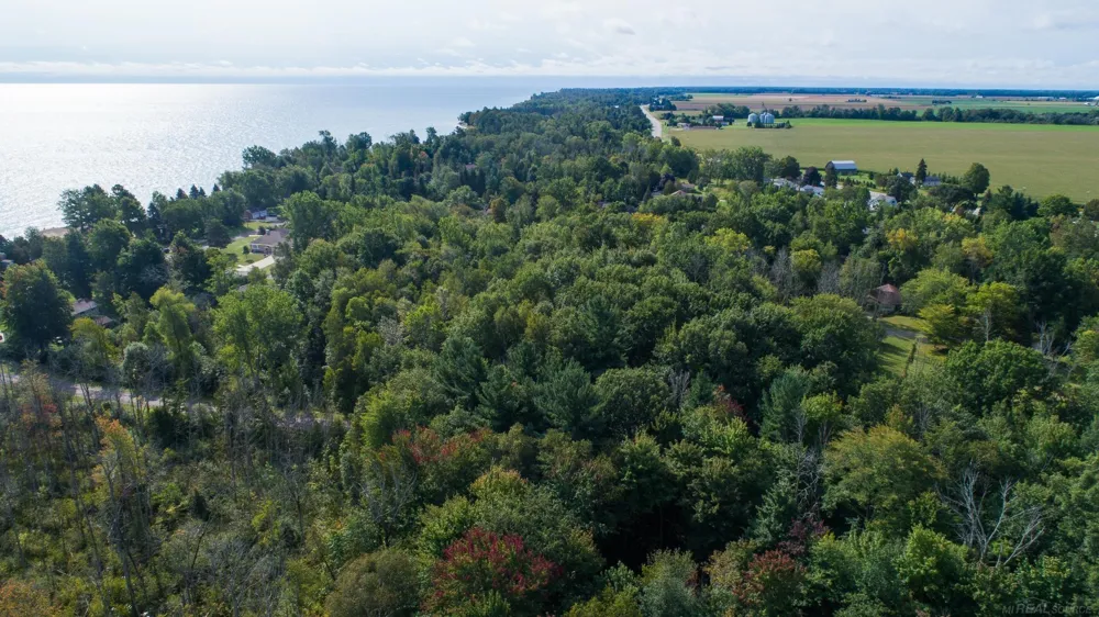 Lakeview Drive Sand Beach Township, MI 48441