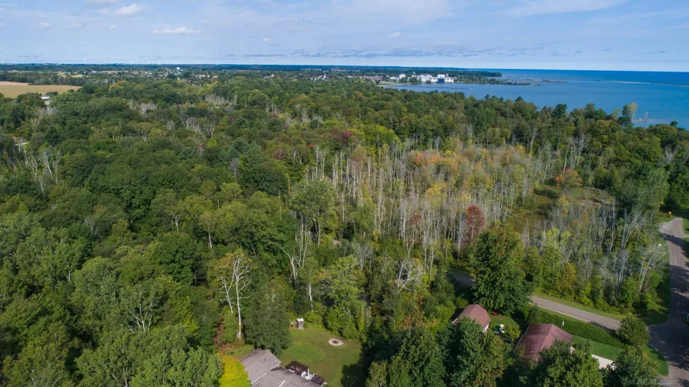 Lakeview Drive Sand Beach Township, MI 48441