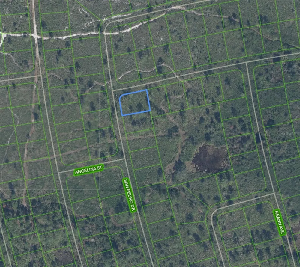 4724 SAN PEDRO DRIVE Sebring, FL 33872