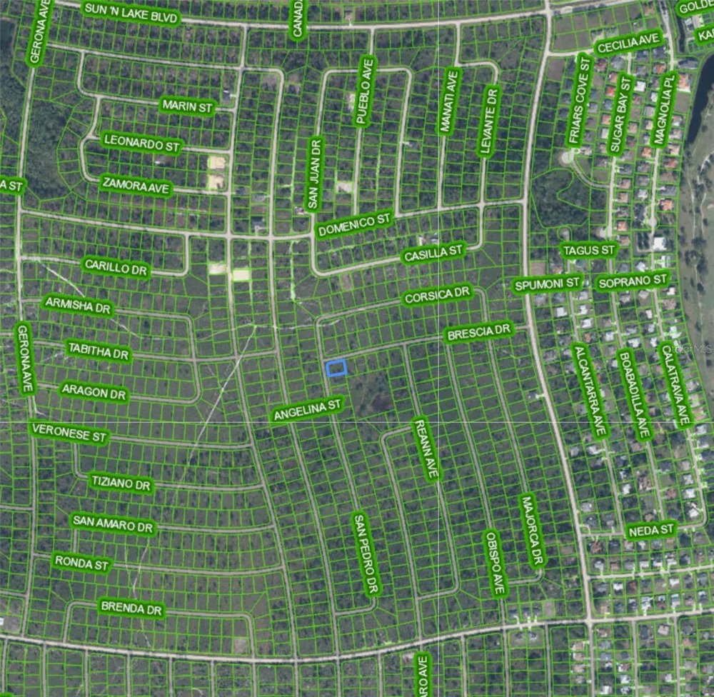 4724 SAN PEDRO DRIVE Sebring, FL 33872