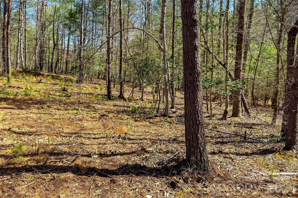 3107 Channel View Cove Morganton, NC 28655
