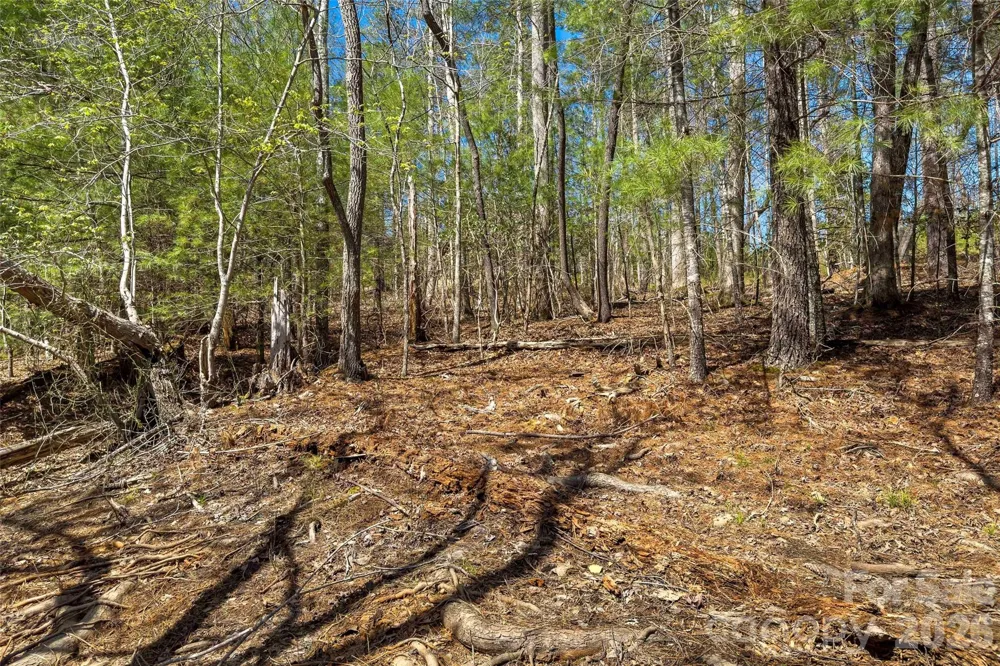 3107 Channel View Cove Morganton, NC 28655
