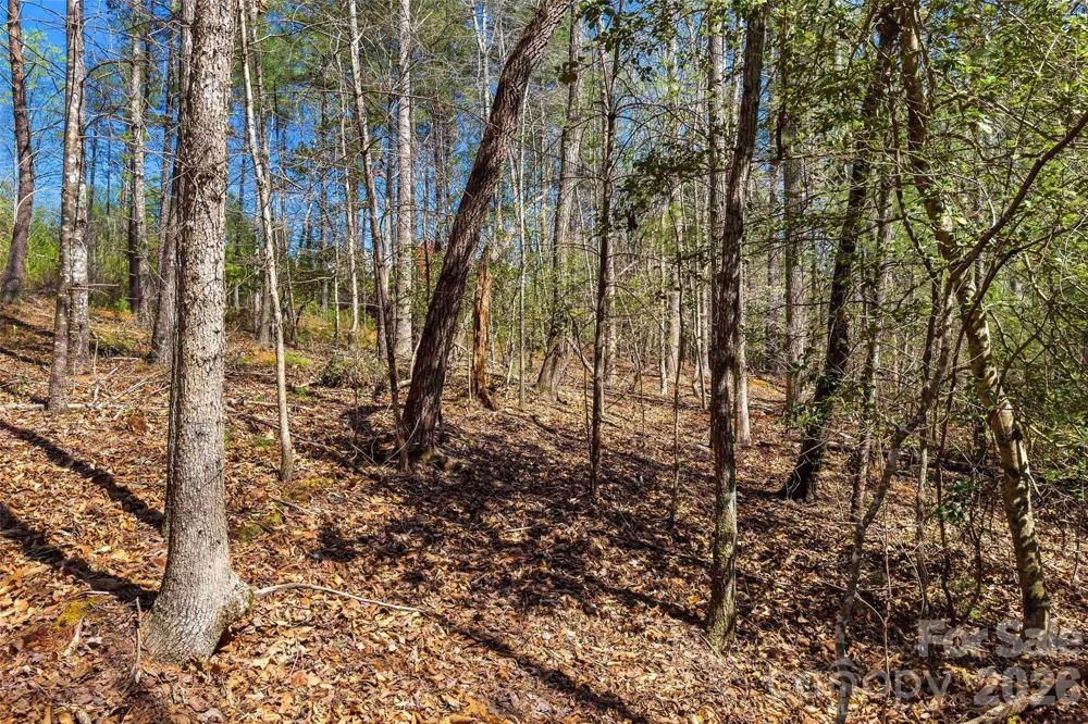 3107 Channel View Cove Morganton, NC 28655