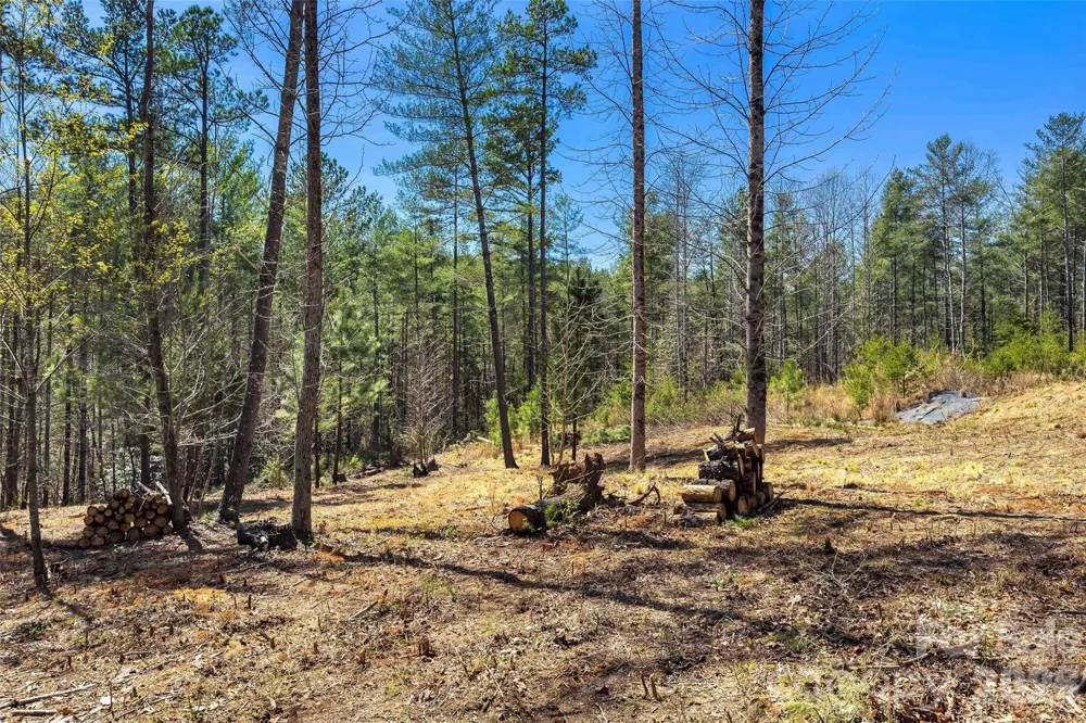 3107 Channel View Cove Morganton, NC 28655