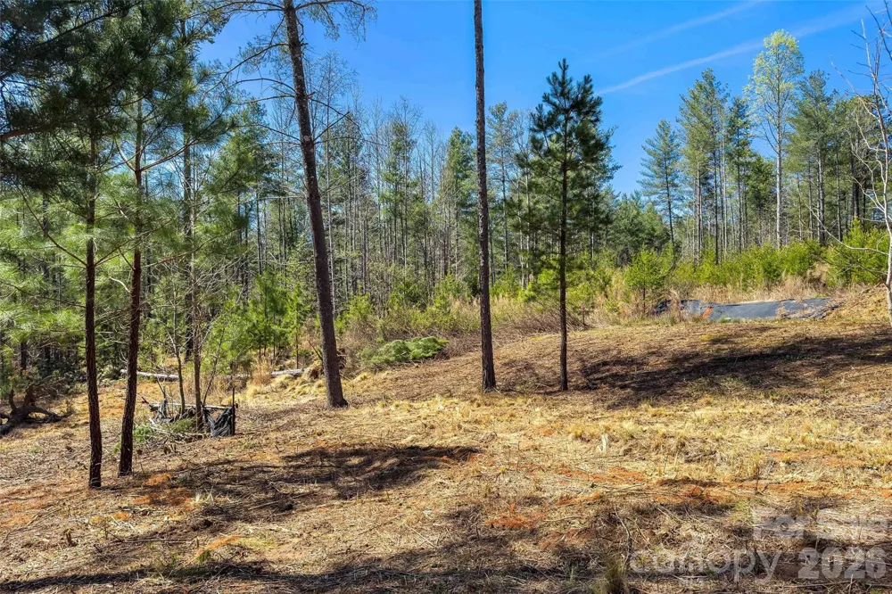 3107 Channel View Cove Morganton, NC 28655