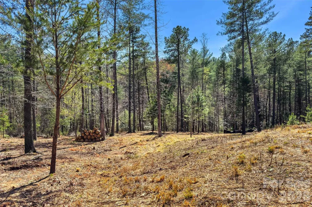 3107 Channel View Cove Morganton, NC 28655
