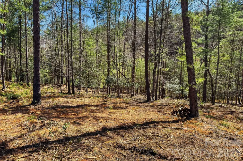 3107 Channel View Cove Morganton, NC 28655