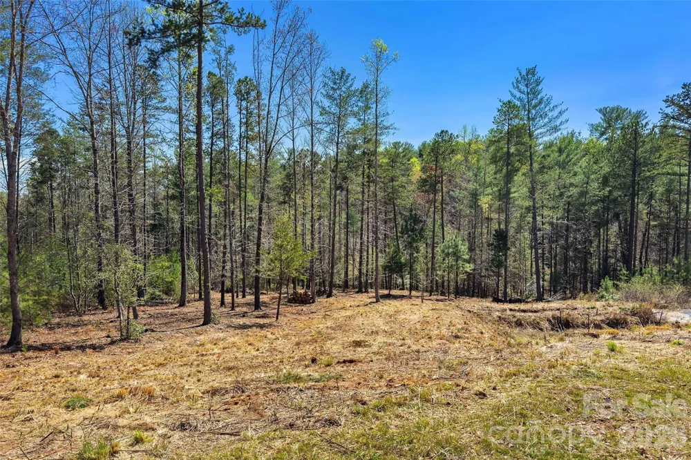 3107 Channel View Cove Morganton, NC 28655
