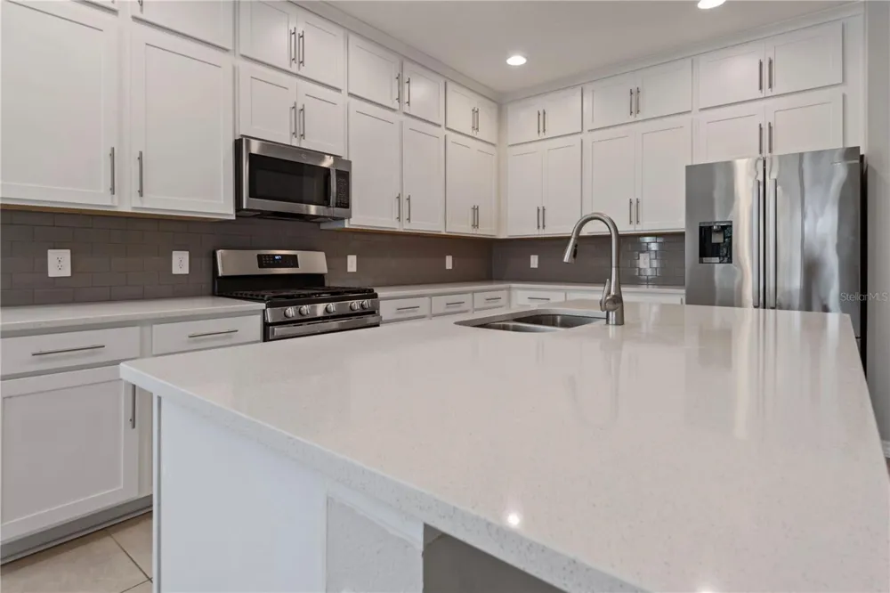 2017 BOSS HEWETT STREET Oakland, FL 34787