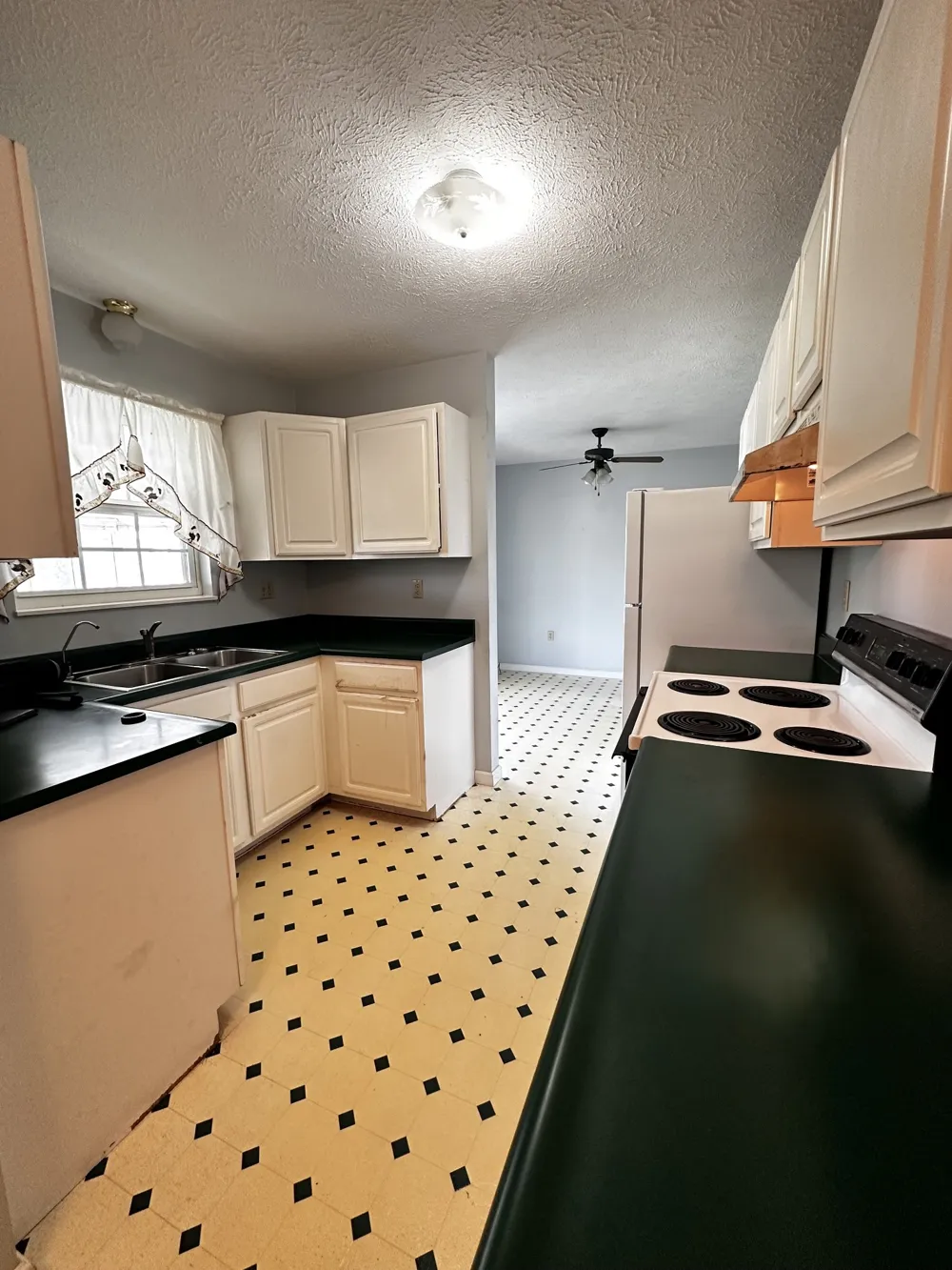 1691 Mullins Rd Russellville, TN 37860
