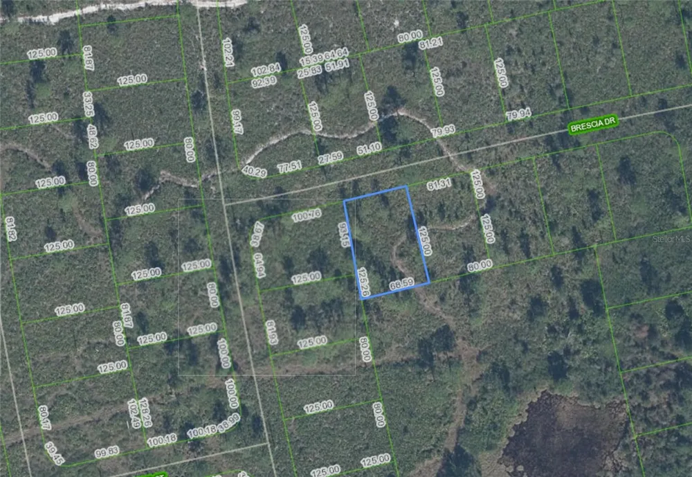 7448 BRESICA DRIVE Sebring, FL 33872