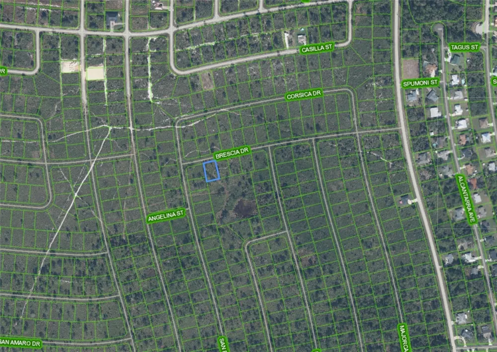7448 BRESICA DRIVE Sebring, FL 33872