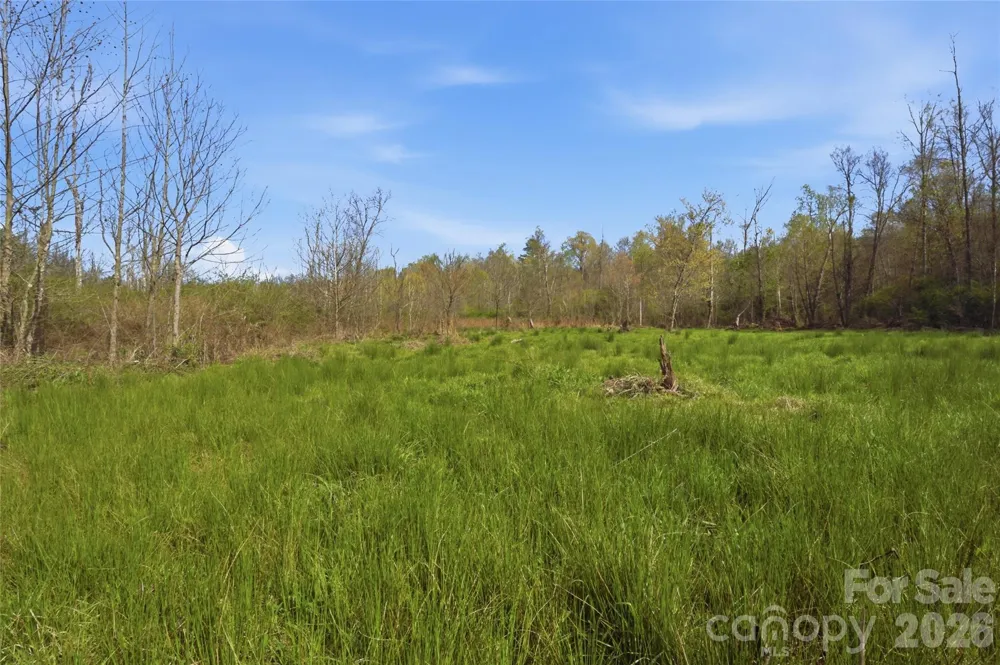0000 Alf Hoover Road Lincolnton, NC 28092