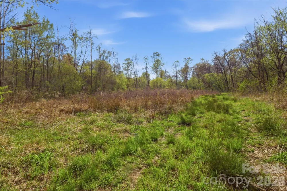 0000 Alf Hoover Road Lincolnton, NC 28092