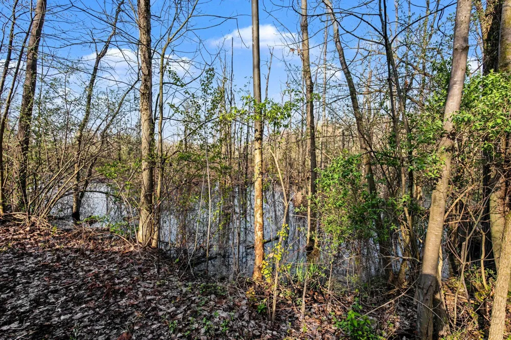 2523 S Patterson Road Wayland, MI 49348