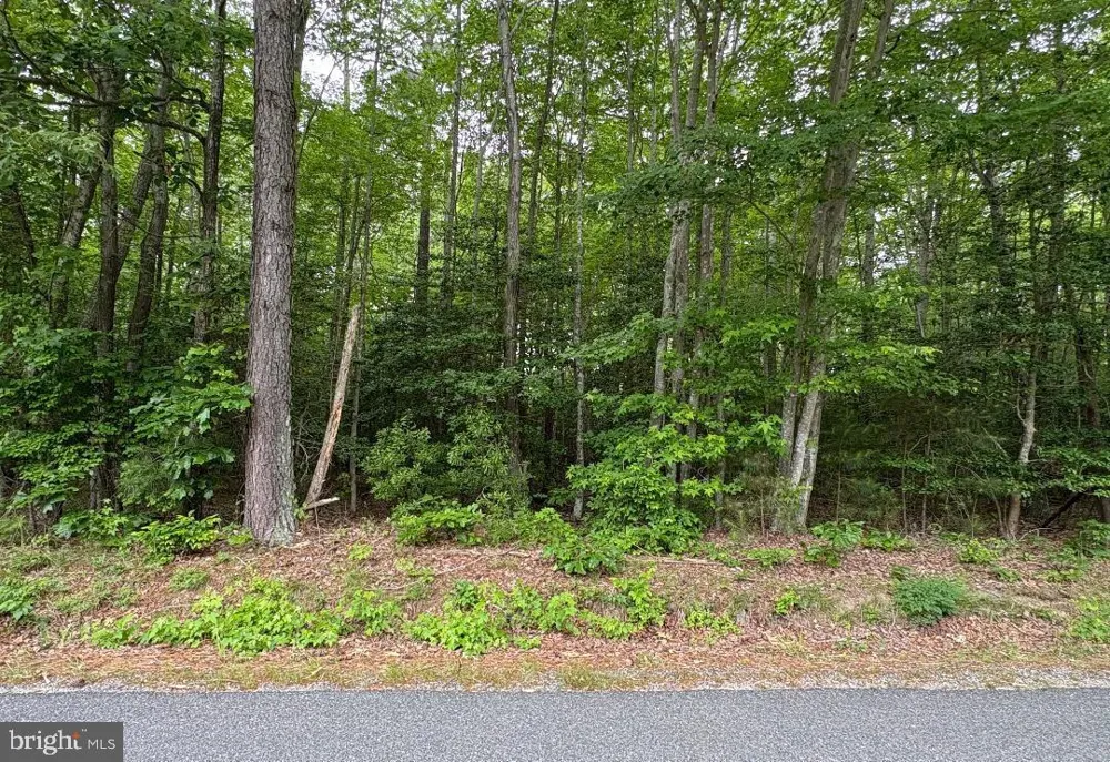 0 BOGEY NECK RD Heathsville, VA 22473