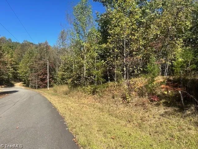 Lot 19 Longview Bluffs Boomer, NC 28606