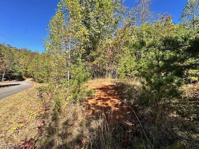 Lot 19 Longview Bluffs Boomer, NC 28606