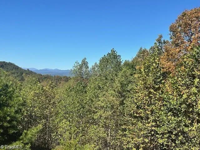 Lot 19 Longview Bluffs Boomer, NC 28606