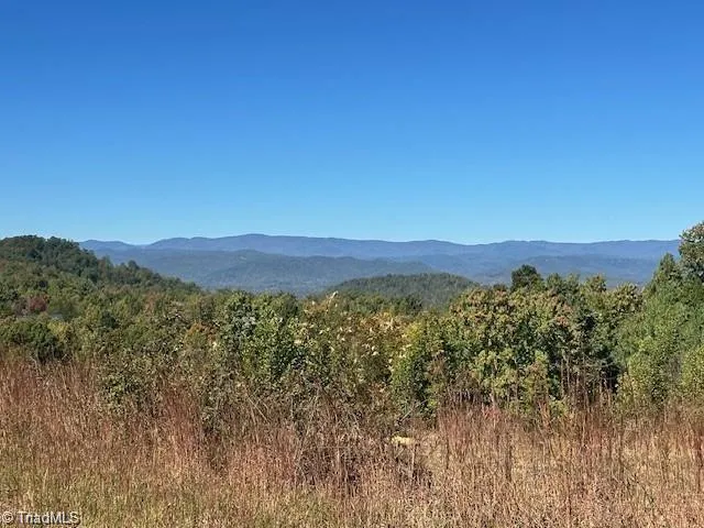 Lot 19 Longview Bluffs Boomer, NC 28606