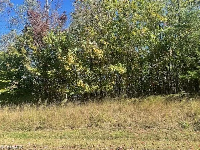 Lot 19 Longview Bluffs Boomer, NC 28606