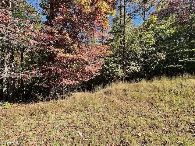 Lot 19 Longview Bluffs Boomer, NC 28606