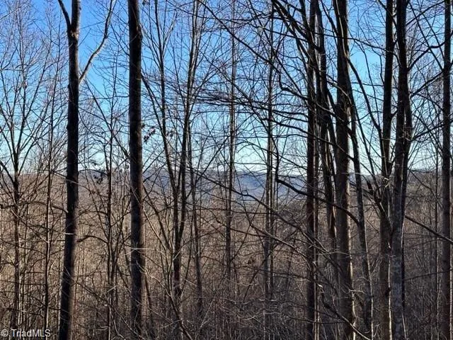 Lot 19 Longview Bluffs Boomer, NC 28606