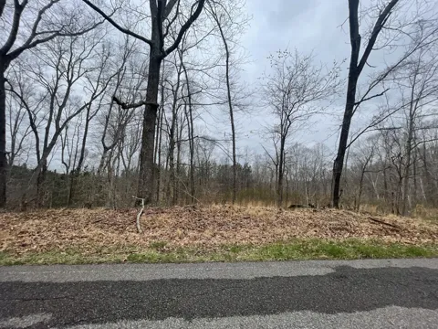1 Forest Trl