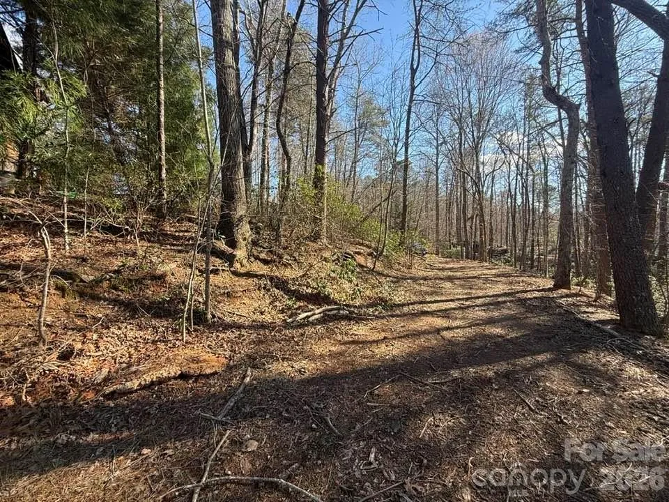 00 Canoe Drive #44 Mill Spring, NC 28756