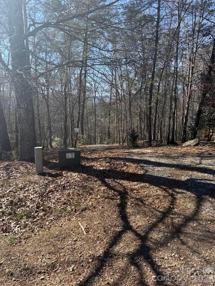 00 Canoe Drive #44 Mill Spring, NC 28756