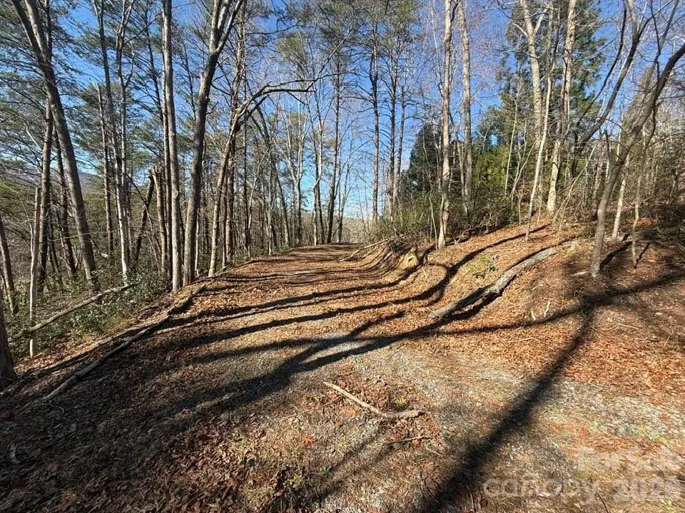 00 Canoe Drive #44 Mill Spring, NC 28756