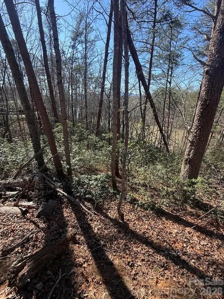 00 Canoe Drive #44 Mill Spring, NC 28756