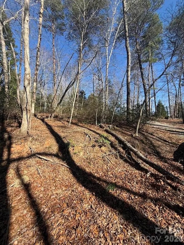 00 Canoe Drive #44 Mill Spring, NC 28756