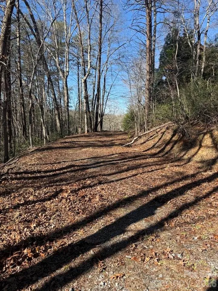 00 Canoe Drive #44 Mill Spring, NC 28756