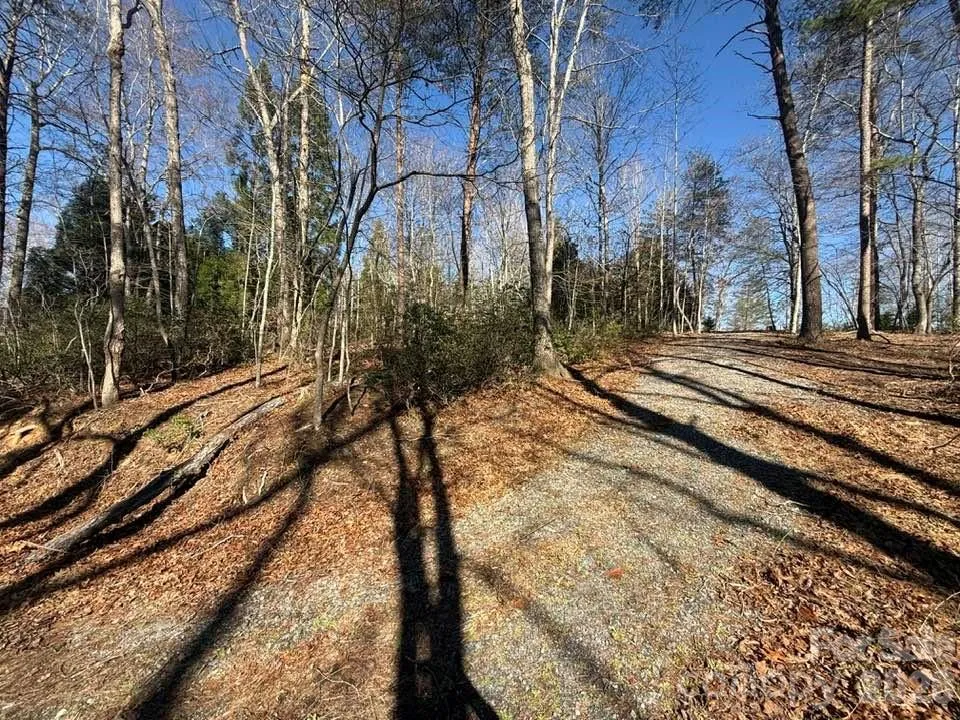 00 Canoe Drive #44 Mill Spring, NC 28756
