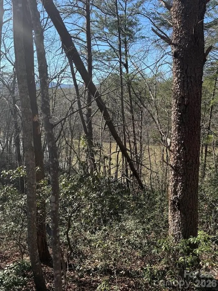 00 Canoe Drive #44 Mill Spring, NC 28756