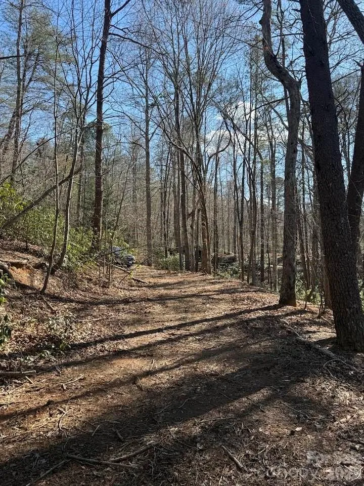 00 Canoe Drive #44 Mill Spring, NC 28756
