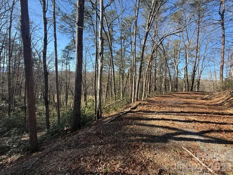 00 Canoe Drive #44 Mill Spring, NC 28756