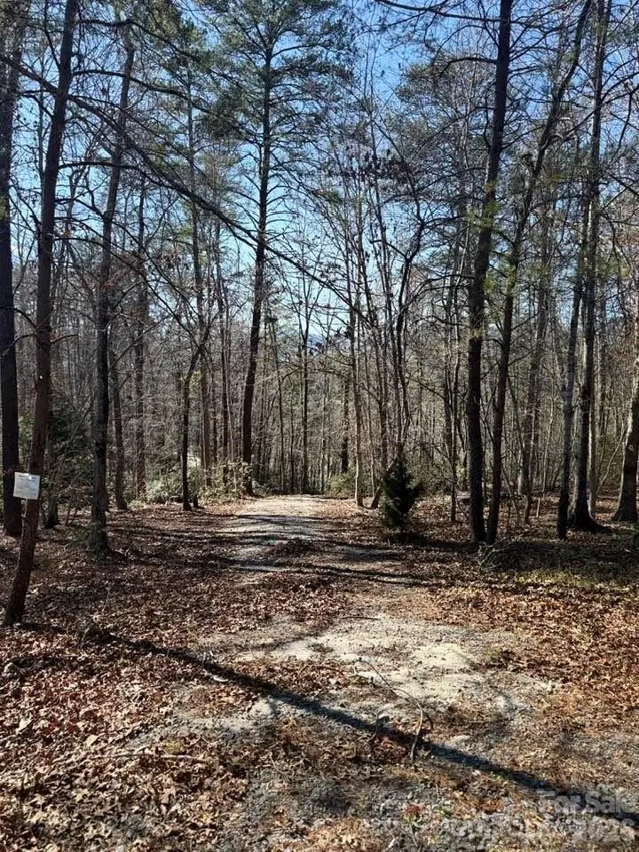 00 Canoe Drive #44 Mill Spring, NC 28756