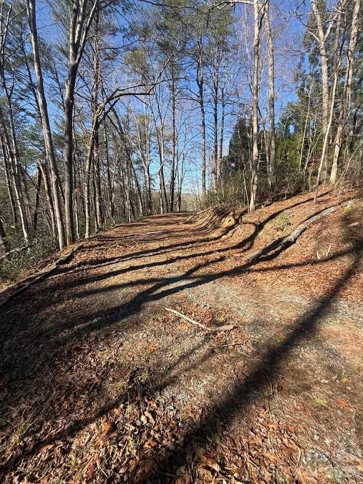 00 Canoe Drive #44 Mill Spring, NC 28756