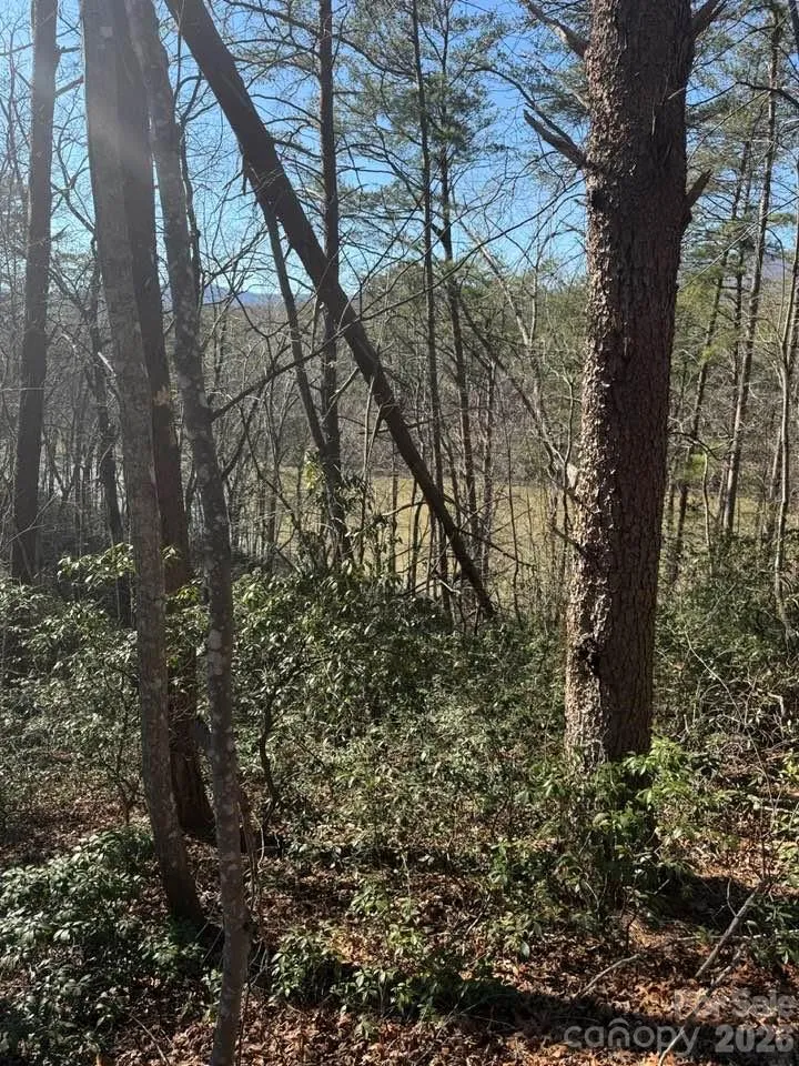 00 Canoe Drive #44 Mill Spring, NC 28756