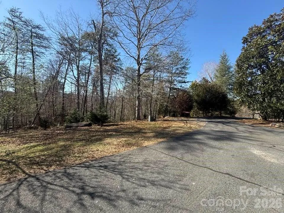 00 Canoe Drive #44 Mill Spring, NC 28756