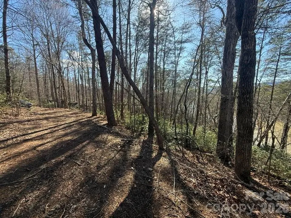 00 Canoe Drive #44 Mill Spring, NC 28756