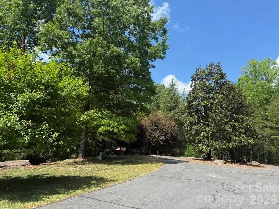00 Canoe Drive #44 Mill Spring, NC 28756