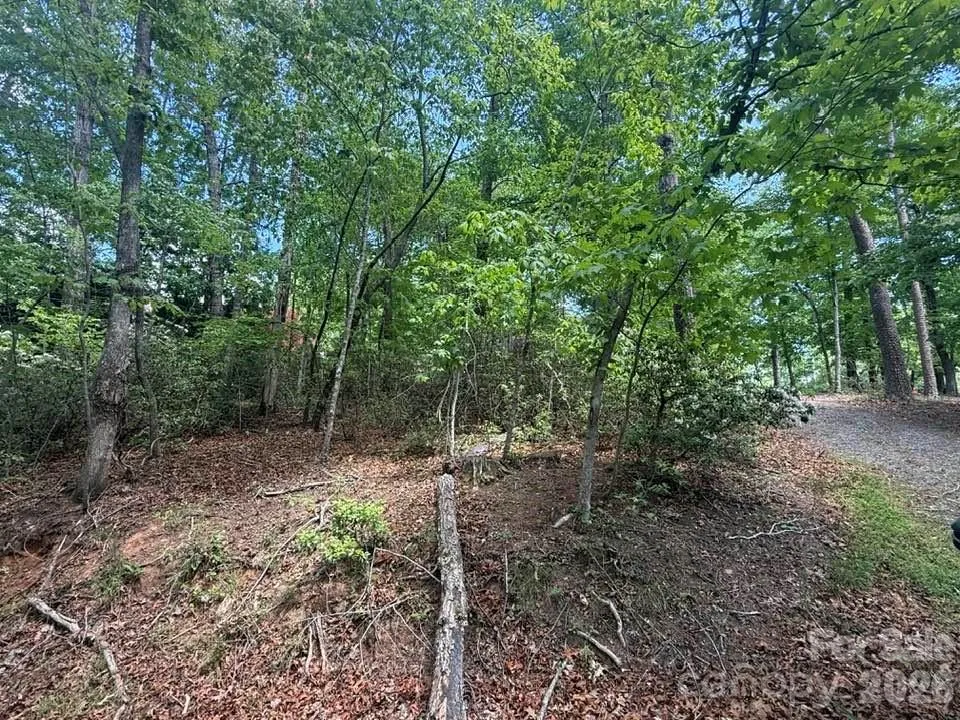 00 Canoe Drive #44 Mill Spring, NC 28756