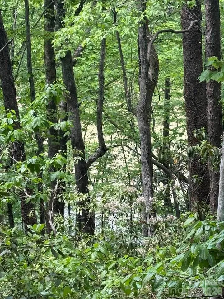 00 Canoe Drive #44 Mill Spring, NC 28756