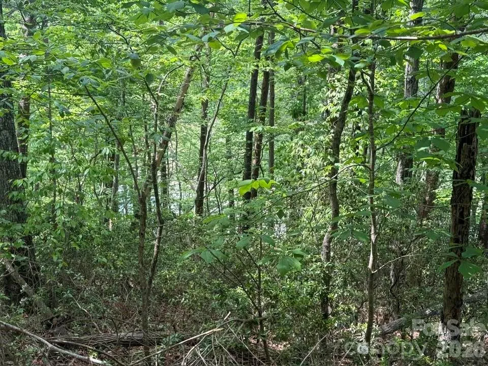 00 Canoe Drive #44 Mill Spring, NC 28756