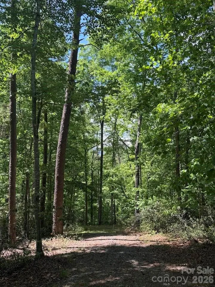 00 Canoe Drive #44 Mill Spring, NC 28756