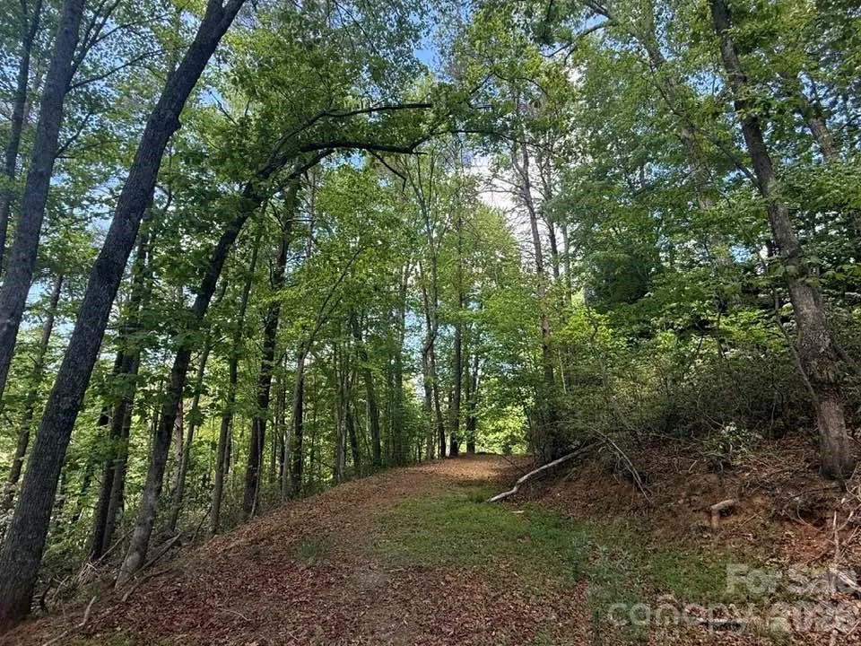 00 Canoe Drive #44 Mill Spring, NC 28756